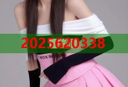 糖心vlog解版apk下载与使用全攻略详解